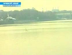 В Москву-реку таинственно заплыл кит (фото) [01.04.2007 20:42]