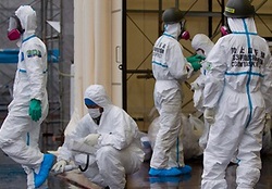 Реактор ` Фукусимы-1 ` дал течь [01.02.2012 13:38]