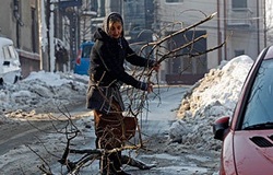 В Восточной Европе из-за морозов лишились жизни почти 60 человек [01.02.2012 15:41]