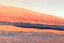 На Марсе найдена голова гигантской обезьяны [01.12.2014 11:52]