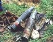В Ленинградской области обнаружили два схрона с боеприпасами [01.06.2006 15:20]