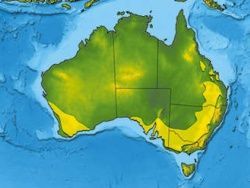 В Австралии ожидают рекордный урожай пшеницы [11.11.2010 11:29]