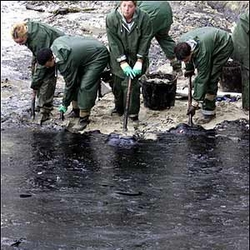 На Волге обнаружено нефтяное пятно длиной в километр [11.04.2006 22:03]