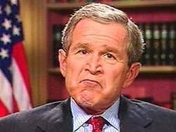 Мемуары Буша назвали плагиатом [13.11.2010 11:18]