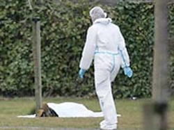 Расстреляны посетители британского паба: 2 человека лишились жизни, двое ранены [13.03.2006 11:00]
