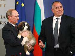 Премьер Болгарии подарил В. В. Путину щенка [14.11.2010 09:27]