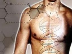 Нанотехнологии помогут расшифровать геном человека [14.11.2010 12:26]