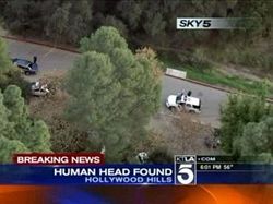 В Голливуде обнаружили отрезанную голову [18.01.2012 10:51]
