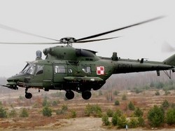Польша купила 5 вертолетов Sokol [18.01.2012 16:45]