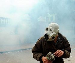 Сирийская арабская республика передаст химическое оружие любой стране [19.09.2013 11:11]