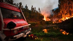В Португалии бушует страшный лесной пожар [19.06.2017 12:51]