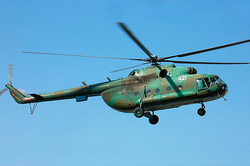 Индия купит у России вертолетов на $1 млрд [02.09.2015 14:23]