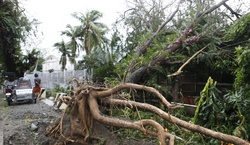 Филиппины повредились от тайфуна ` Хайме ` [20.10.2016 10:47]