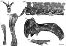 Американцы обнаружили трех норных динозавров [21.03.2007 16:39]