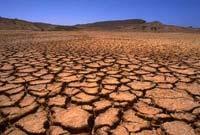 Ученые: Последние граждане на Земле умрут от жажды [21.03.2007 17:39]