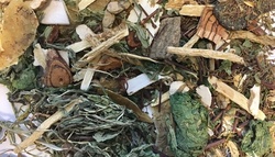 Женщина умерла после употребления ядовитого травяного чая [22.03.2017 12:38]