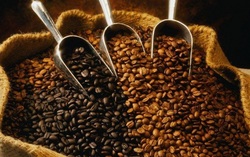 Любителям кофе не грозит диабет второго типа [23.01.2012 14:32]