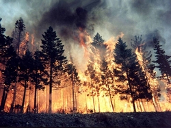 Количество лесных пожаров на Урале за сутки увеличилось до 35 [24.08.2016 15:00]