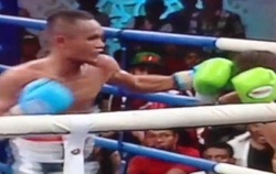 В Индонезии юный боксер умер после титульного боя (видео) [28.01.2013 13:22]