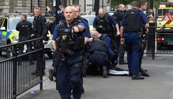 Правоохранительные органы Лондона предотвратила террористический акт [28.04.2017 13:39]