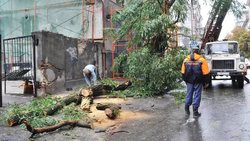 В Ростовской области устраняют последствия мощного урагана [29.03.2017 14:32]
