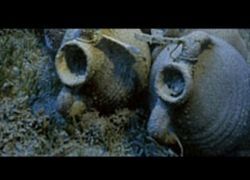 В Египте возникнет подводный музей [30.08.2008 12:46]