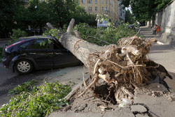 В столице России количество жертв урагана выросло до 16 человек [30.05.2017 15:36]