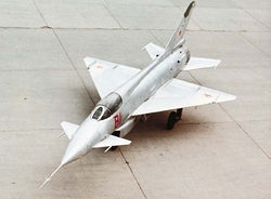 Китайский бизнесмен приобрел на интернет-аукционе самолет МиГ-21 [30.04.2006 21:39]