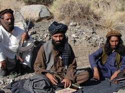 Афганистан решился на сепаратные диалоги с ` Талибаном ` [31.01.2012 11:33]