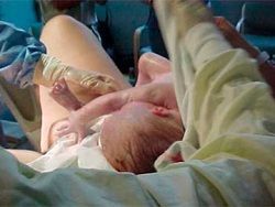 В Британии младенец был рожден без крови [31.01.2012 12:04]