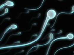 Найден новый способ контрацепции для мужчин [31.01.2012 14:09]