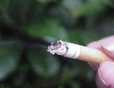 Ученые: вдыхание и выдыхание табачного дыма вызывает диабет [31.05.2006 18:13]