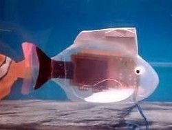 Японцы создали рыбу-робота для домашнего аквариума [05.11.2010 10:09]