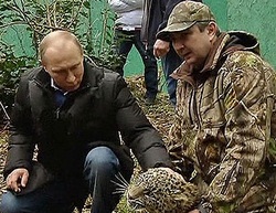 Путин завел членов МОК в клетку с леопардом (видео) [05.02.2014 09:26]