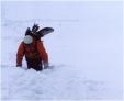 На Эльбрусе из трещины в леднике спасен сноубордист [06.12.2005 01:31]