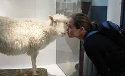 В Иране скоро возникнет своя овечка Долли [06.12.2005 09:27]