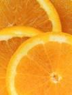 В Абхазии увеличился апельсин-гигант [06.12.2005 14:47]