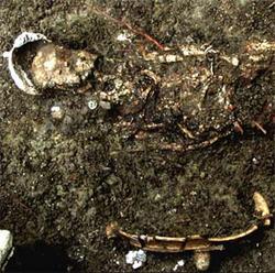 Археологи обнаружили в Гватемале следы древнего ` военного беззакония ` [06.12.2005 18:32]