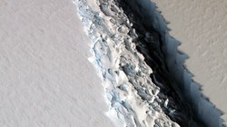 Очень большой ледник в Антарктиде раскололся изнутри [06.07.2017 16:54]