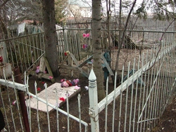 В Нижнем Новгороде осквернены еврейские могилы [07.05.2006 22:45]
