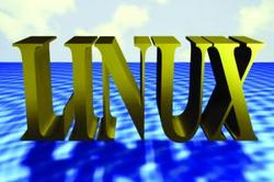 Лицензия Linux будет пересмотрена в первый раз за пятнадцать лет [09.12.2005 02:44]