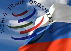 Грузия назвала свою цену по вступлению Российской Федерации во Всемирную торговую организацию [01.11.2011 11:45]