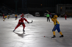 В Ульяновске начался мировое первенство по хоккею с мячом [01.02.2016 16:50]
