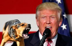 Речь Трампа в ООН назвали ` лаем собаки ` [21.09.2017 08:30]