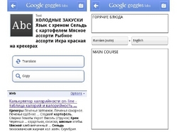 Google научил приложение Goggles распознавать русские тексты [23.06.2011 14:13]