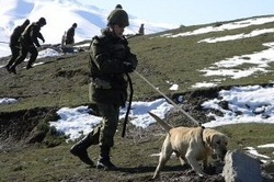 Таджикистан сохранит российские военные базы [25.04.2012 11:24]