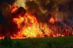 Во Франции бушуют лесные пожары [26.07.2017 15:33]