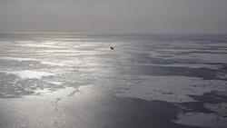 В Японском море авиация возобновила розыск исчезнувшего судна [26.01.2018 04:04]