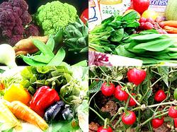Ученые: Увеличение потребления фруктов и овощей снижают риск инсульта [26.09.2006 17:31]