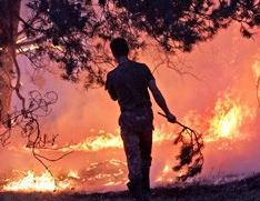 В Марий Эл из-за лесного пожара вывезли детские лагеря [28.06.2010 17:21]